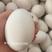 本地土鹅蛋每天都有十来个目前七十多个