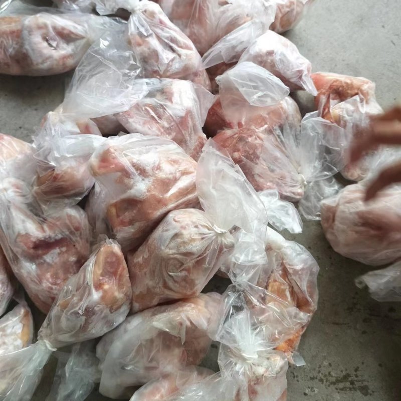 36只的西装鸡