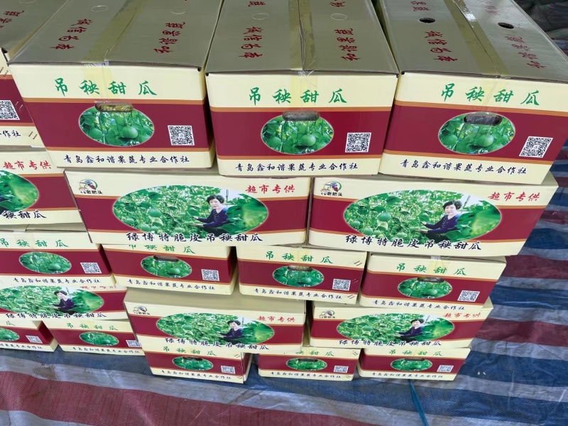 绿宝甜瓜百万亩甜瓜基地，专业供应专业品控，对接商超、电商