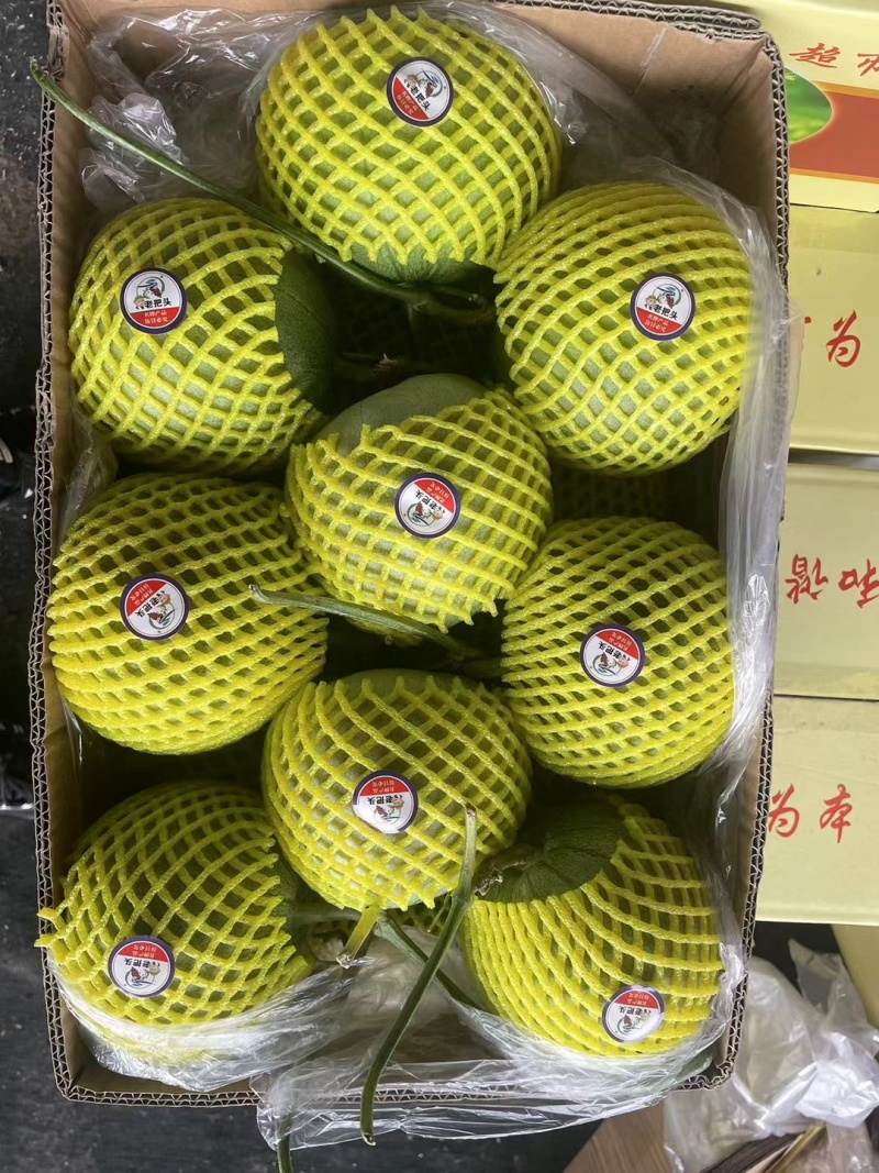 绿宝甜瓜百万亩甜瓜基地，专业供应专业品控，对接商超、电商