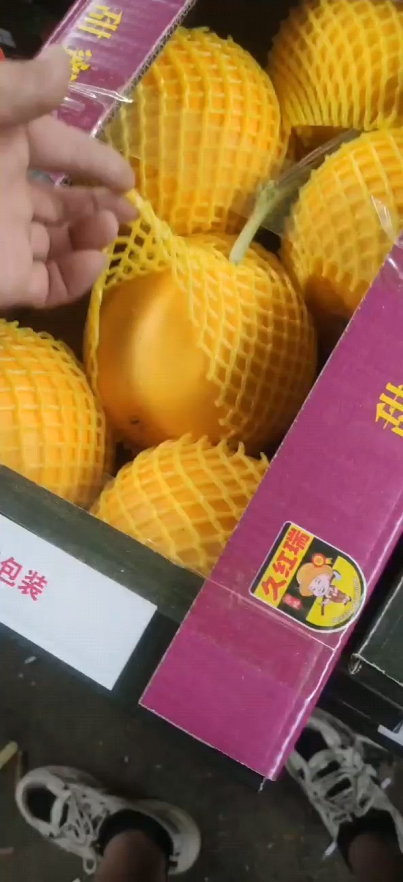 瑞红甜瓜百万亩甜瓜基地，专业供应专业品控，对接商超、电商
