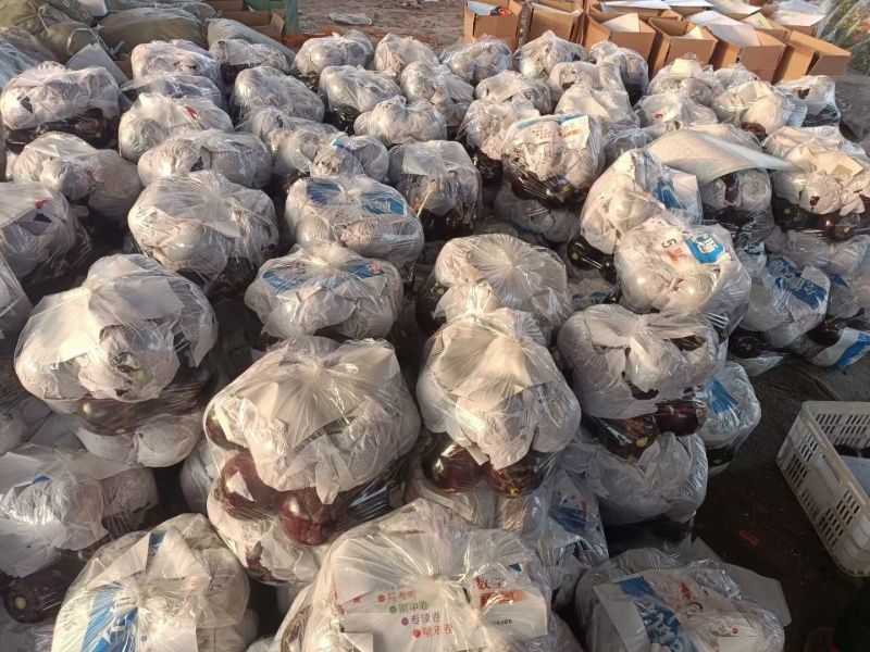 精品茄子圆茄大量供货中量大从优质量保证欢迎咨询