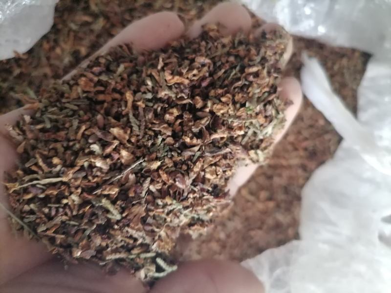 柏沫填充物