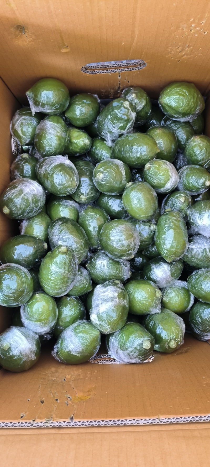广东无籽香水柠檬
