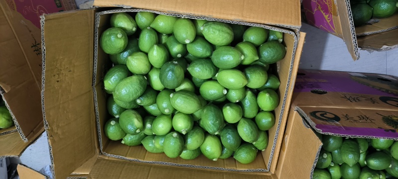 广东无籽香水柠檬
