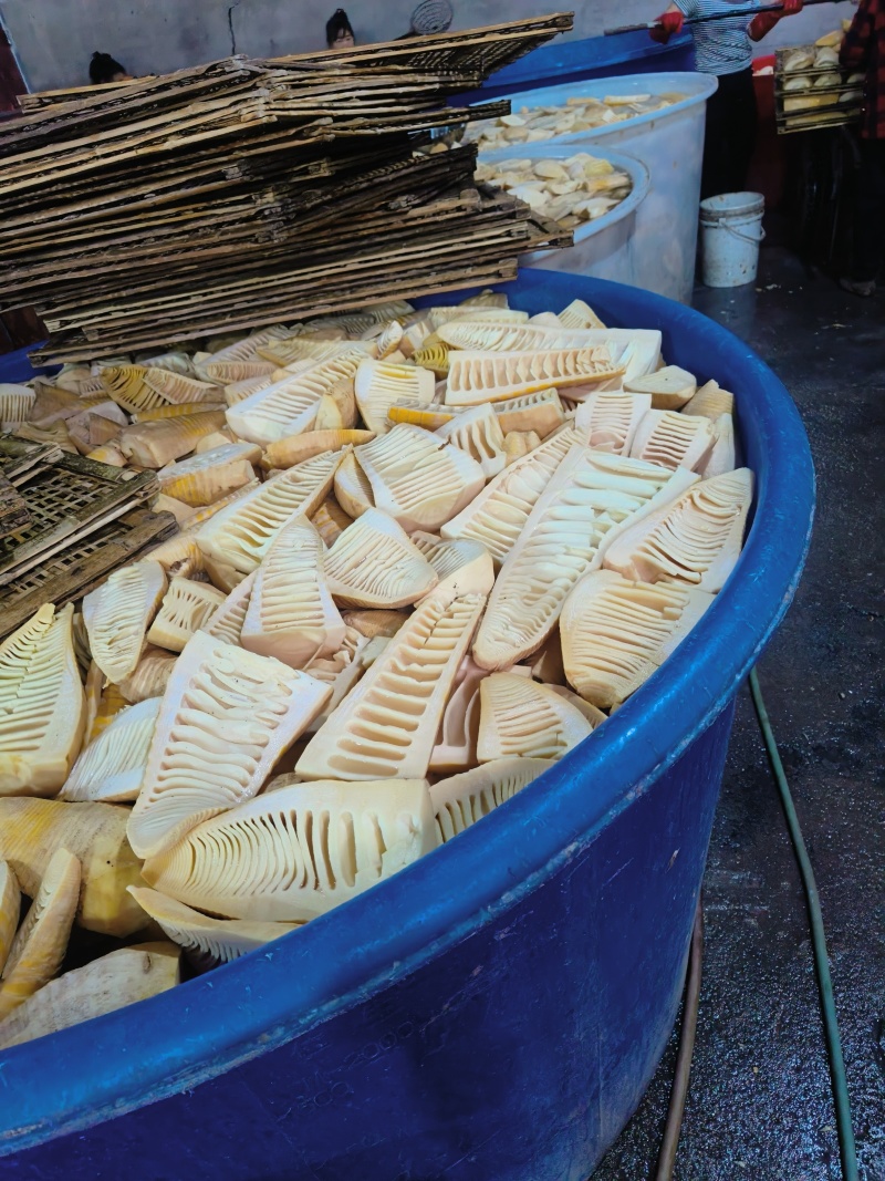 四川叙永无硫玉兰片