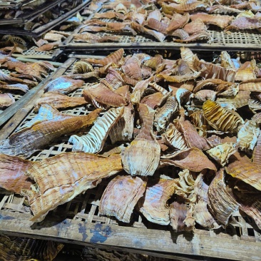 四川叙永无硫玉兰片