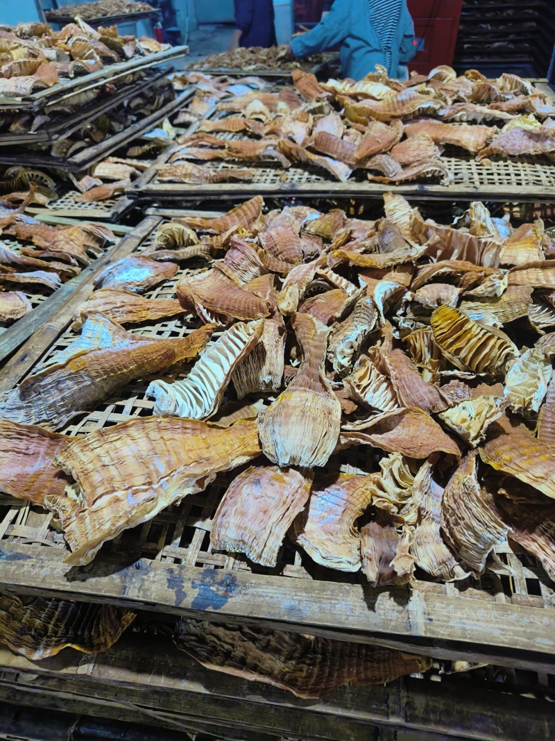 四川叙永无硫玉兰片