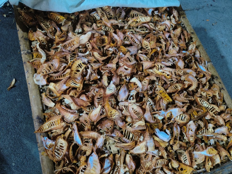四川叙永无硫玉兰片