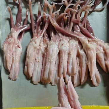生鸭舌冻品