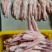 生鸭舌冻品