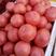 硬粉西红柿大量上市品质好可全国发货欢迎咨询