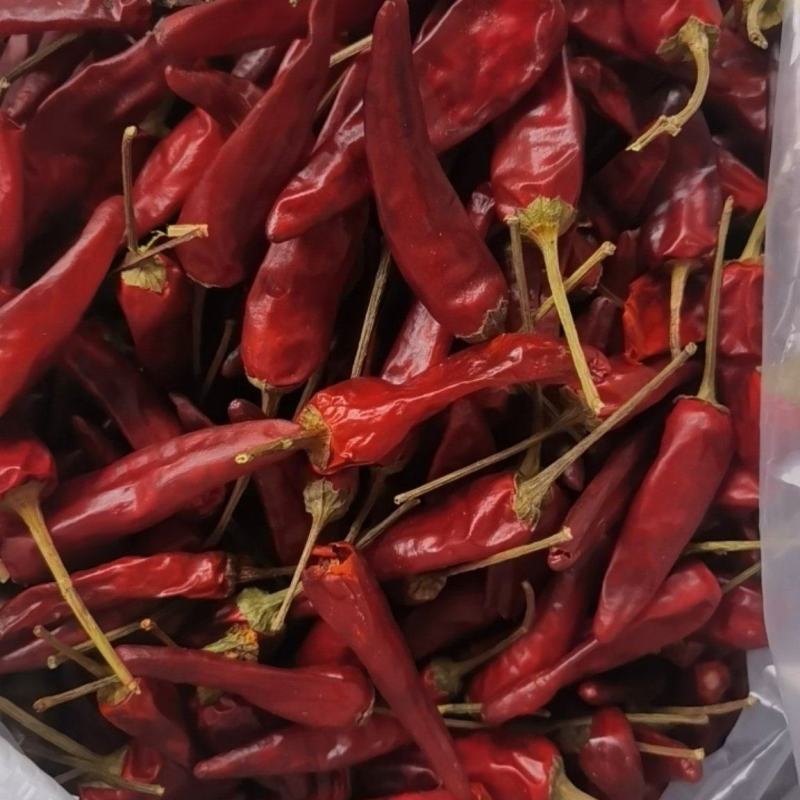 福建辣椒，卤菜专用