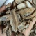 郁金，产地广西，无硫无杂质，道地药材，欢迎选购