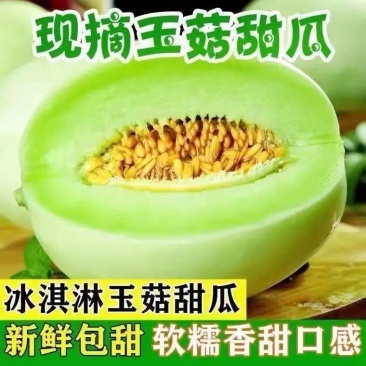 [产地直发]山东玉菇蜜瓜，网红冰淇淋蜜瓜可视频看货