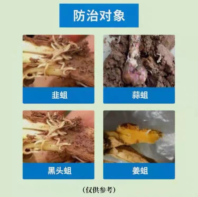 28%虫螨腈噻虫胺杀虫剂韭蛆地蛆地下虫蓟马茄子韭菜蔬菜专