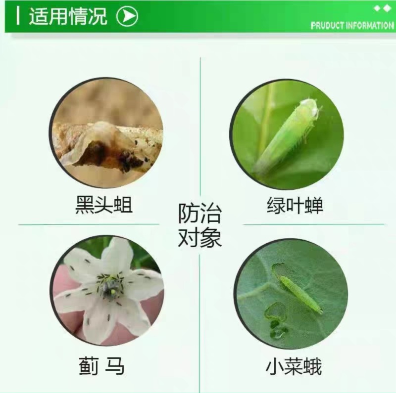 28%虫螨腈噻虫胺杀虫剂韭蛆地蛆地下虫蓟马茄子韭菜蔬菜专