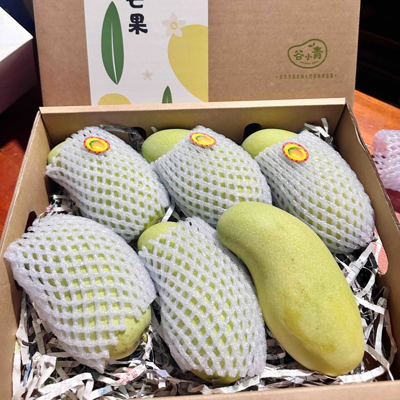 芒果海南金煌芒大量供应应季水果低价供应现摘现发