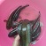 南鳢彩虹雷龙沙塘鳢需要的联系质量保证包活