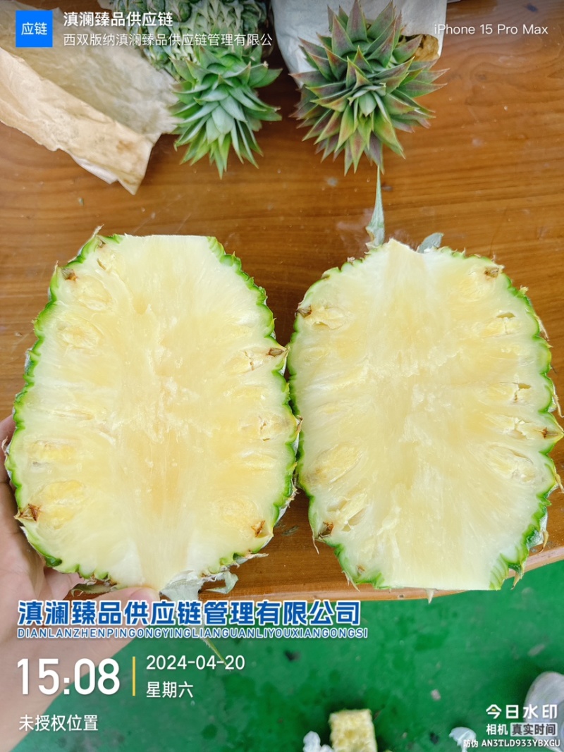 台农16号甜蜜蜜凤梨