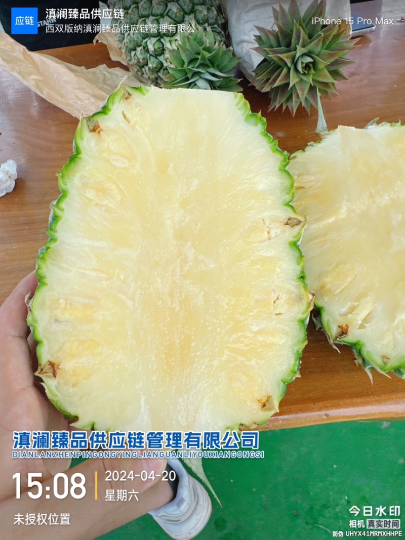 台农16号甜蜜蜜凤梨