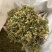 伸筋草正品过筛伸筋草透骨草舒筋草实拍现货