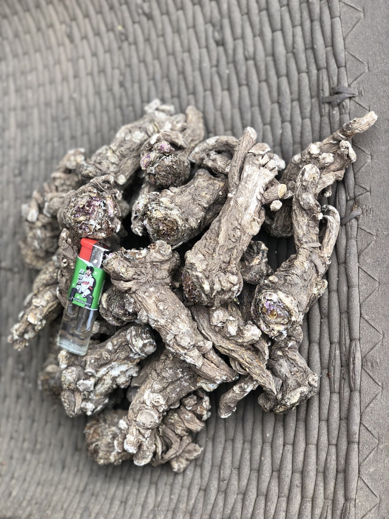 甘肃岷县无硫当归头手选当归产地直供量大从优全国发货