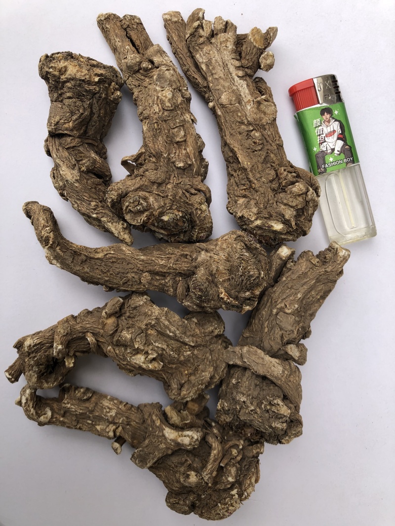 甘肃岷县无硫当归头手选当归产地直供量大从优全国发货