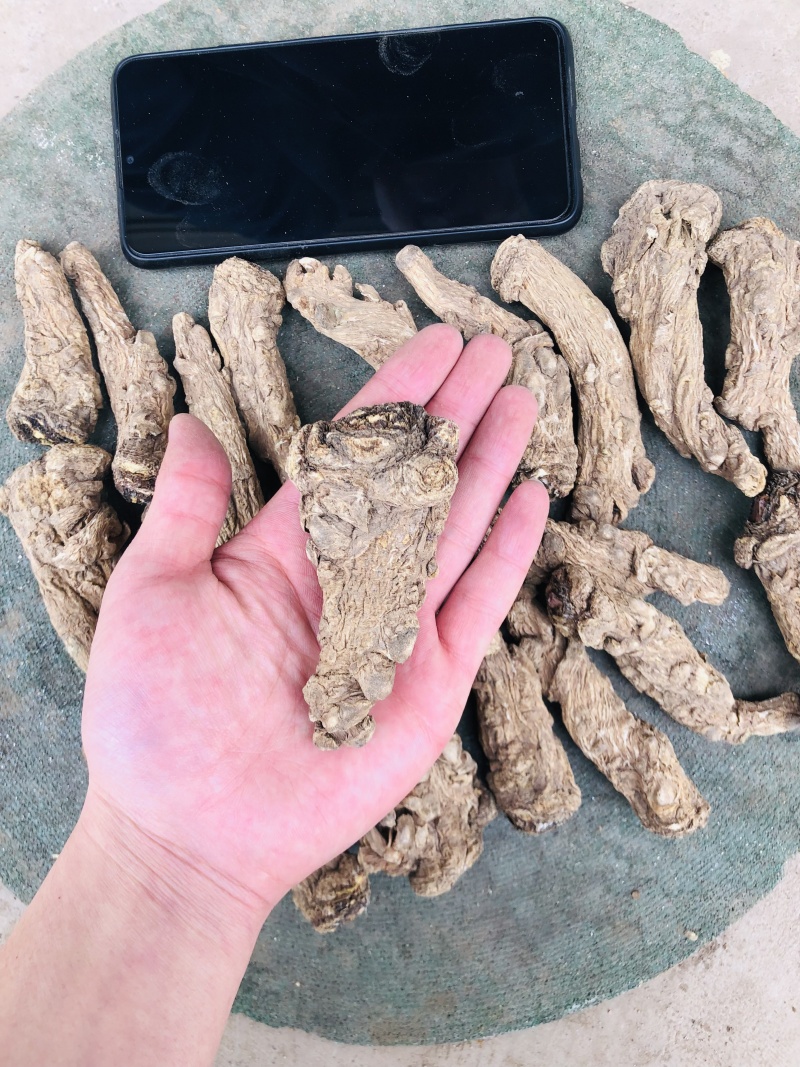 甘肃岷县无硫当归头手选当归产地直供量大从优全国发货