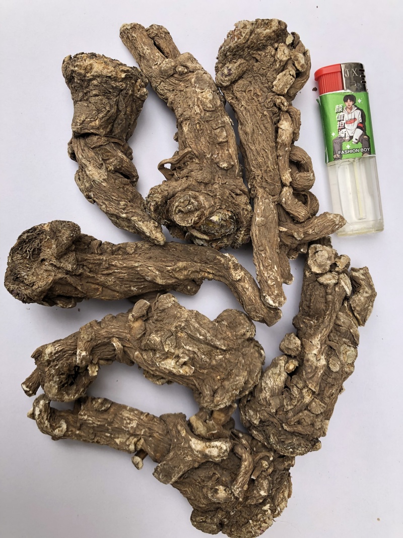 甘肃岷县无硫当归头手选当归产地直供量大从优全国发货