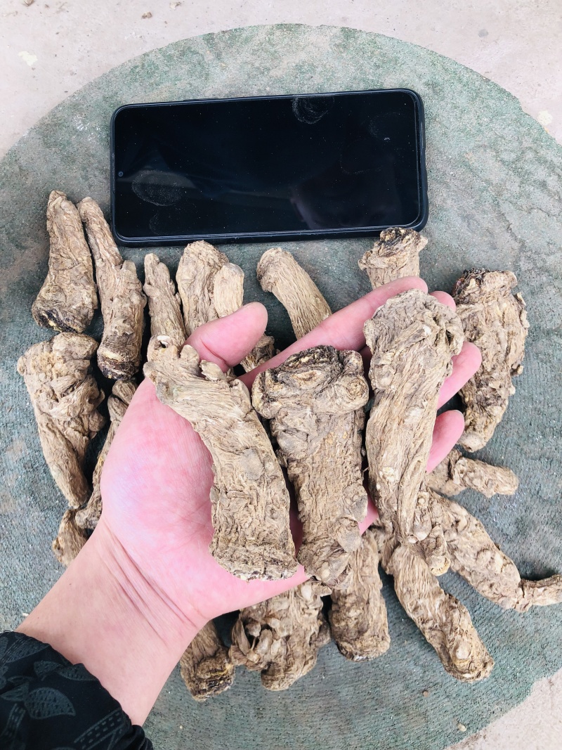 甘肃岷县无硫当归头手选当归产地直供量大从优全国发货