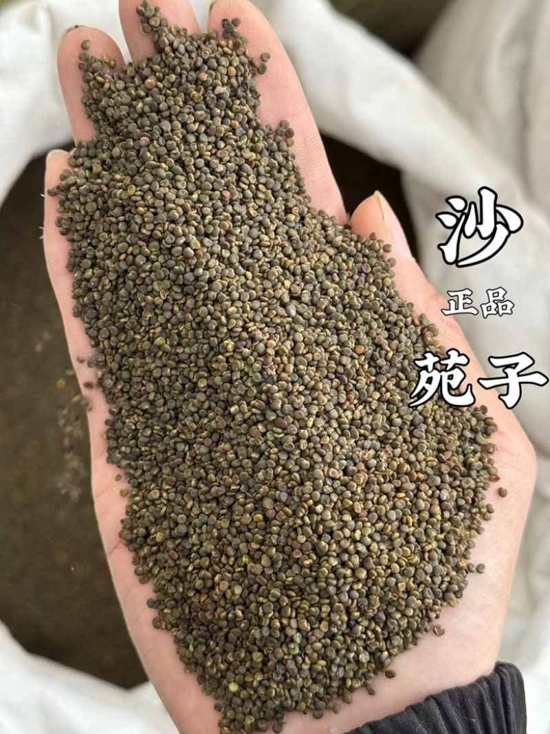 沙苑子正品沙苑子非假货只卖正品现货莫贪便宜