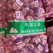 精品紫皮蒜大蒜产地直发精品加工包装边贸出口电