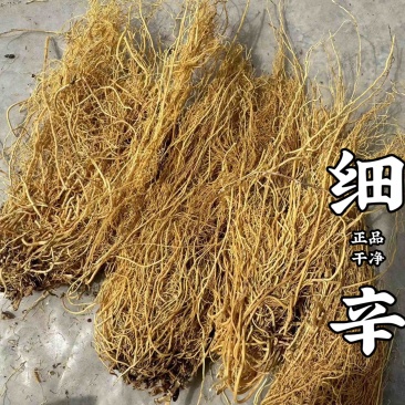 辽细辛水洗货正品细辛实拍无杂质干净实拍现货细辛