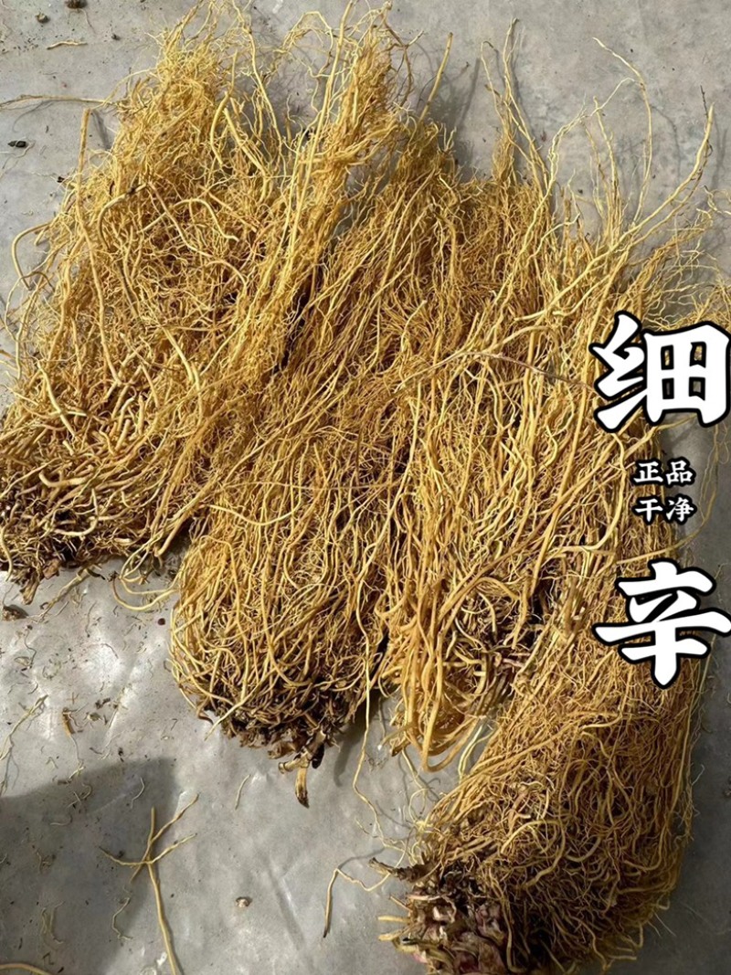 辽细辛水洗货正品细辛实拍无杂质干净实拍现货细辛