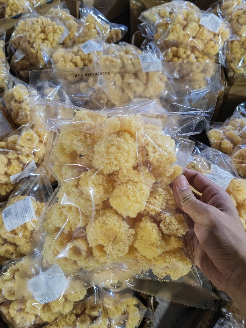 产地直销椴木小银耳500克新货白木耳银耳干货椴木小银耳