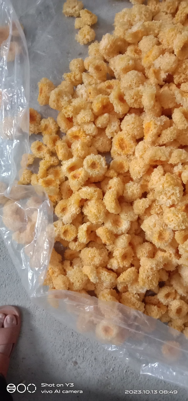 产地直销椴木小银耳500克新货白木耳银耳干货椴木小银耳