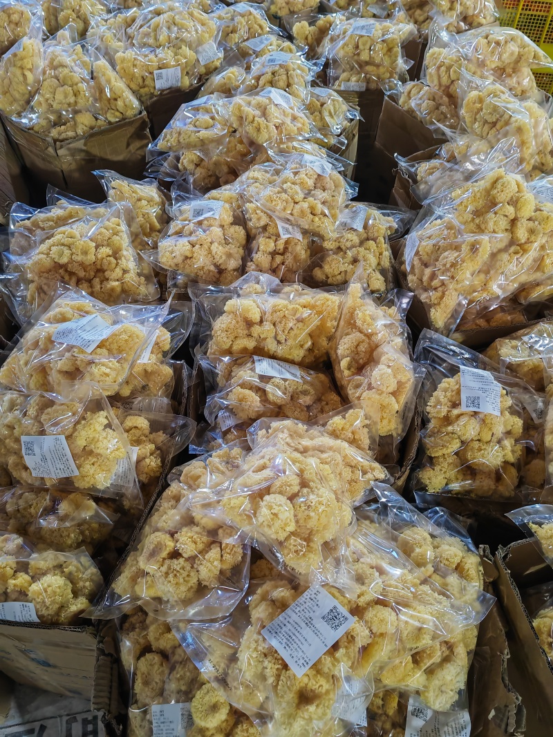 产地直销椴木小银耳500克新货白木耳银耳干货椴木小银耳