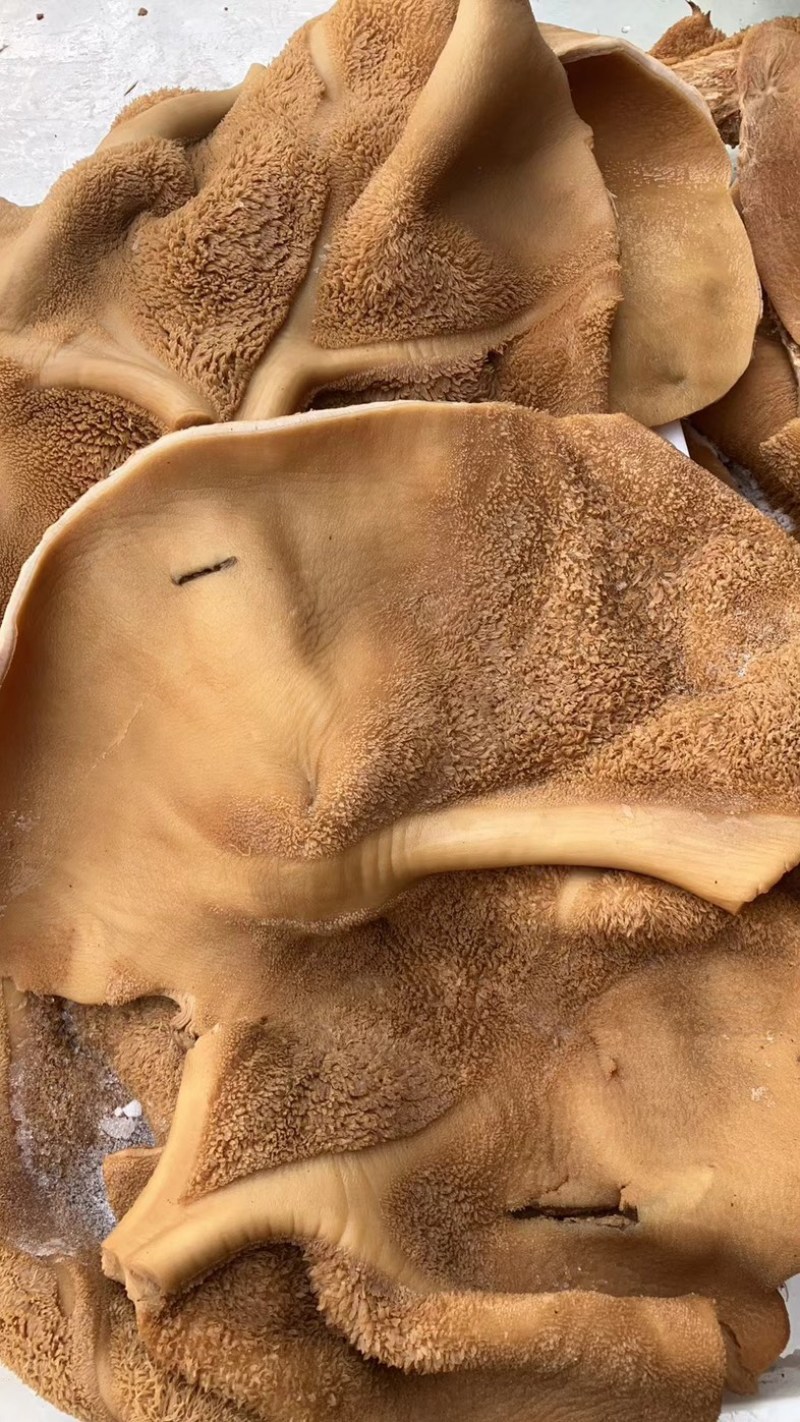 卤牛肚全熟牛肚熟牛肚全熟牛肚熟食开袋即食