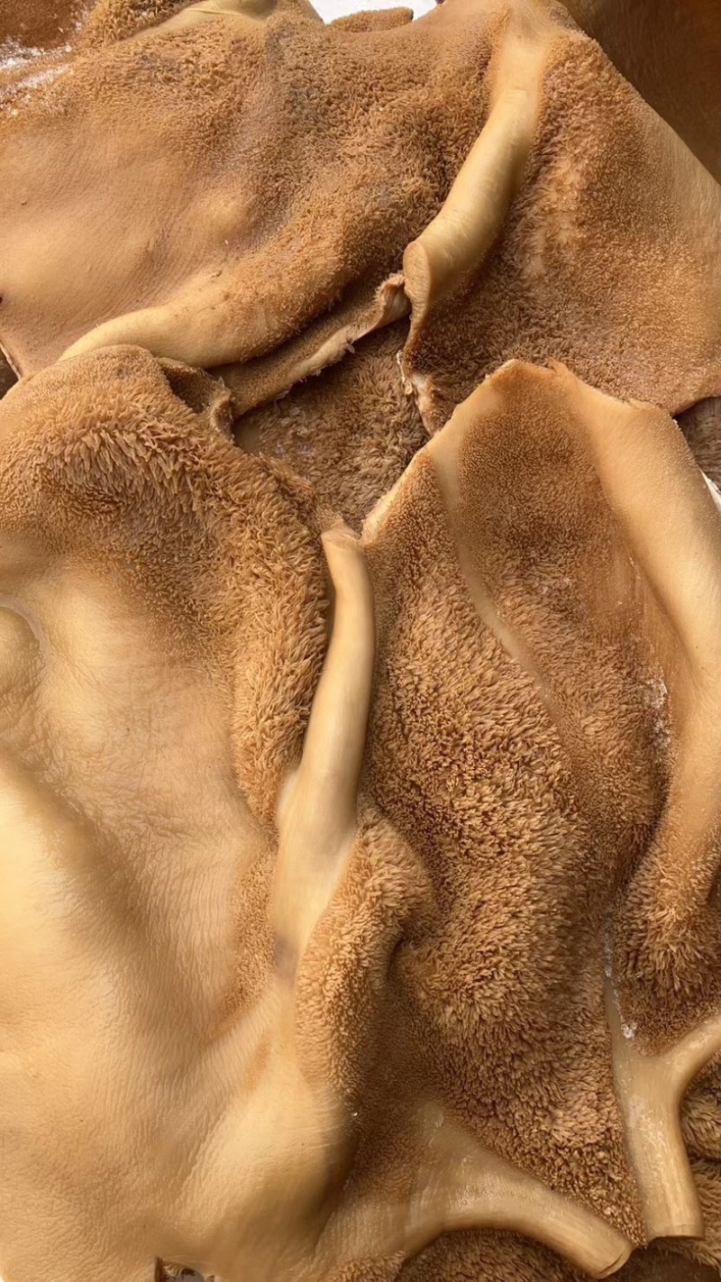 卤牛肚全熟牛肚熟牛肚全熟牛肚熟食开袋即食
