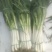 大葱