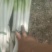 大葱