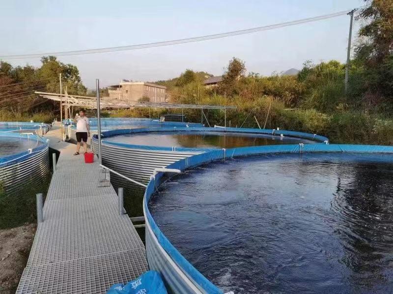 大型生态养殖池果园蓄水池耐高温耐磨扛氧化镀锌板帆布水池