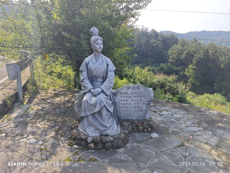 新鲜青梅果现摘现发，高山野生青梅青梅果新鲜大梅鲜现摘深山