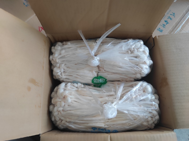 白玉菇