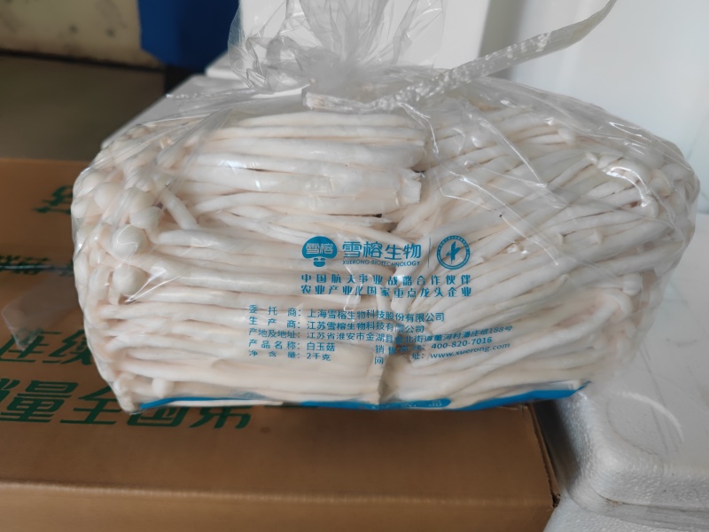 白玉菇