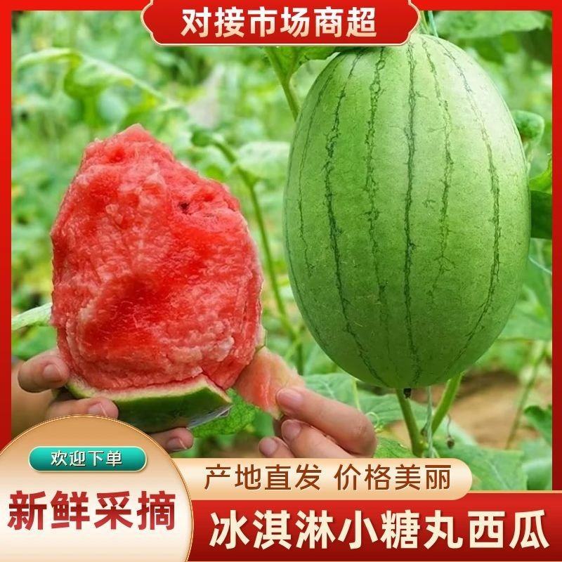 蒲城西瓜冰淇淋小糖丸西瓜产地直发货源充足欢迎致电