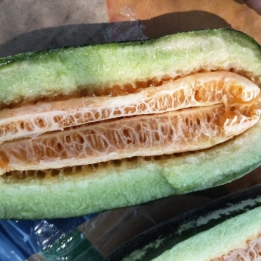 博洋