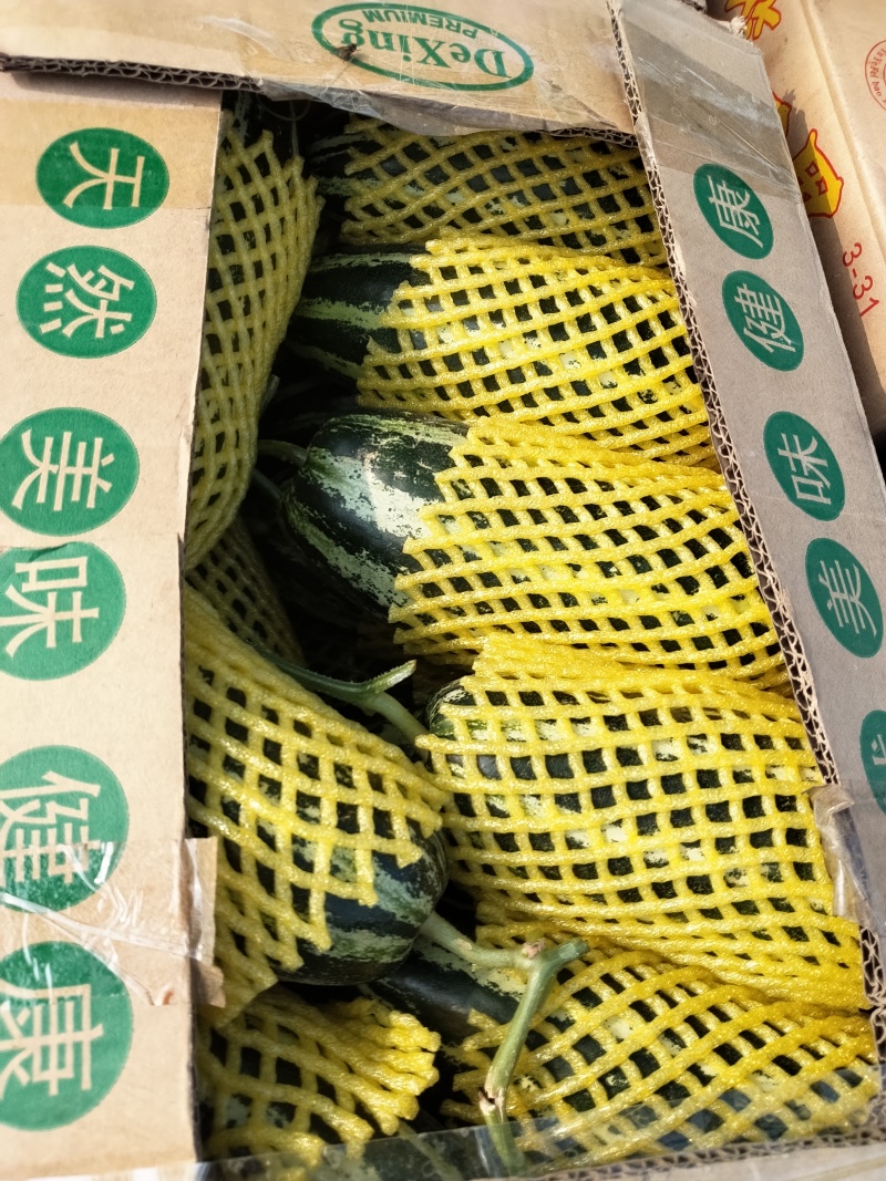 博洋