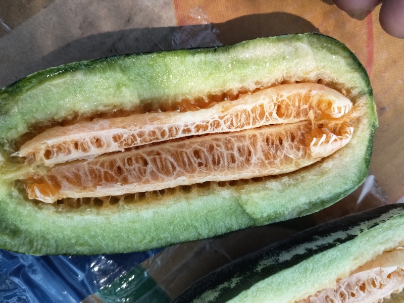 博洋9